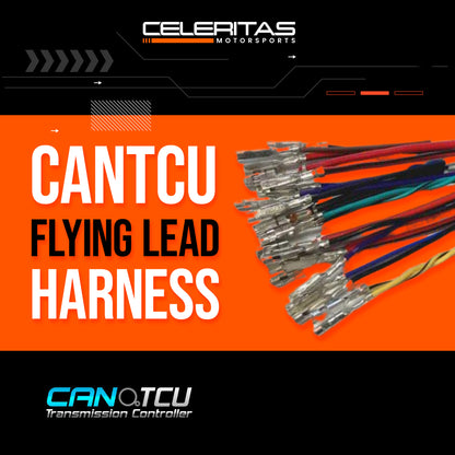 CANTCU Flying Lead Harness