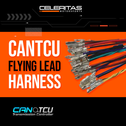 CANTCU Flying Lead Harness